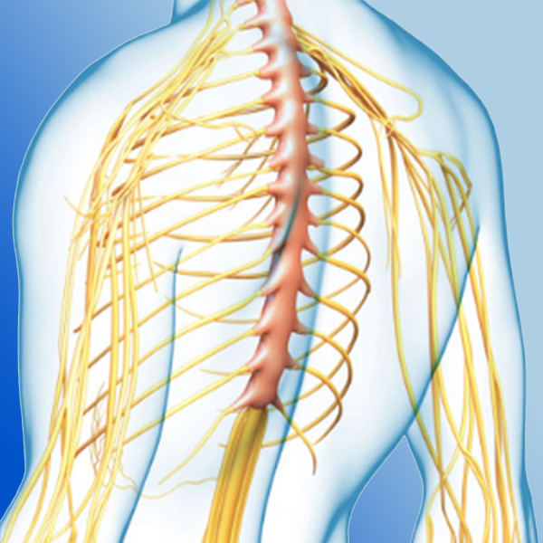 Đau dây thần kinh liên sườn